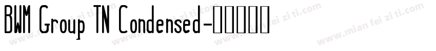 BWM Group TN Condensed字体转换